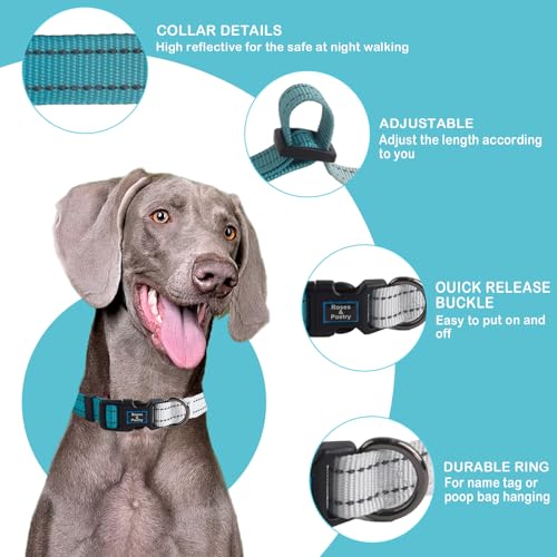 Roses&Poetry Small Dog Collar, Adjustable Personalized Durable Pet Collars for Small Medium Large Dogs (Teal-S) - color: Teal, size: S