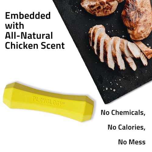 Playology Dog Toys | Squeaky Chew Stick for Dogs | Chicken Scented Medium Fetch Toy | Squeaky Dog Chew Toy - size: Medium, style: Chicken