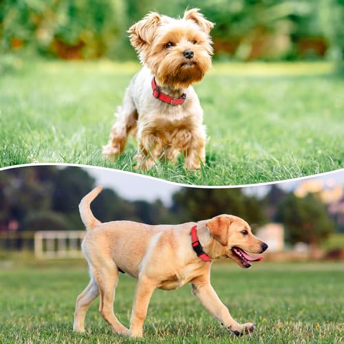 Reflective Dog Collar Padded with Soft Neoprene Breathable Quick Release Basic Dog Collars for Medium Large Dogs Red Boy Girl - color: Red, size: L:width 1"neck 17.5-27"