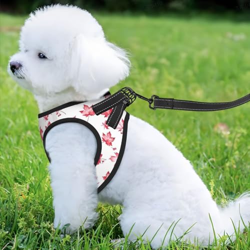 Maple Leaf Pet Harness Escape Proof Dog Harness Adjustable Mesh Padded Reflective Dog Vest Harness and Leash Set Medium - color: Style 5, size: Medium
