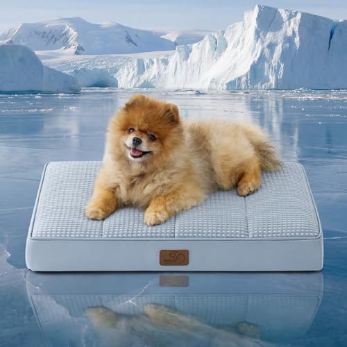 Bedsure Orthopedic Cooling Dog Bed for Small Dogs - 24x16 Inches Comfy Breathable Puppy Beds with Removable Washable Cover, Cold Flat Egg Crate Foam Pet Mat, Suitable for Pet Up to 15 lbs - color: Cooling Blue, size: 24"L x 16"W x 3"Th