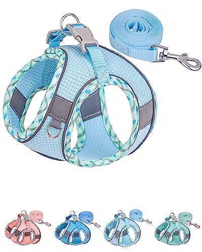 Petank Dog Harness for Small Medium Dogs No Pull, Puppy Harness and Leash Set, Step in Dog Harness for Walking, Running, Training, Small Dog Vest(Light Blue, XS) - color: Light Blue, size: XS