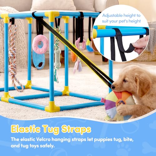 Puppy Play Gym for Small Dogs, Indoor Dog Jungle Gym Activity Center with Stable Frame, Interactive Enrichment Stand for Boredom Relief & Active Play, Includes 12 Toys to Keep Puppies Busy