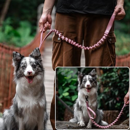 OneTigris Tactical Dog Training Bungee Leash with 2 Control Handle Quick Release Nylon Leads Rope - color: Pink