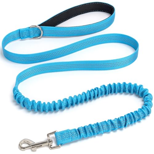 Bungee Dog Leash- 5FT Shock Absorbing & Reflective Nylon Leash | Anti-Pull Training for Small/Medium Dogs | 2cm Wide, 6 Colors (Teal) - color: Teal