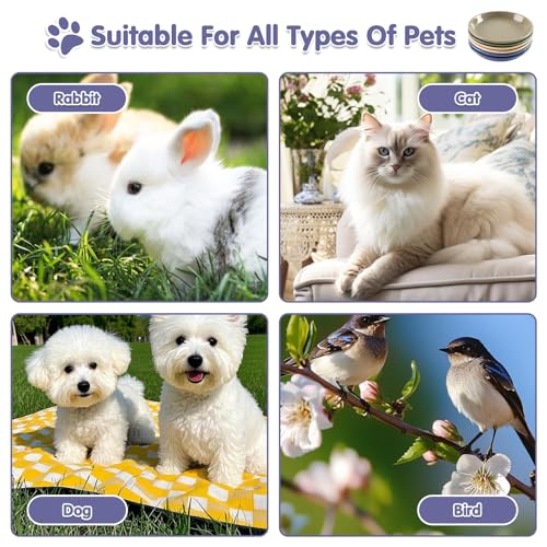6 Pack Cat Food Bowl, Ceramic Cat Bowls, Anti Whisker Fatigue Cats Bowl Set,5.5 Inches Shallow Wide Kitten Plates for Food and Water (CaiSe-B) - color: CaiSe-B