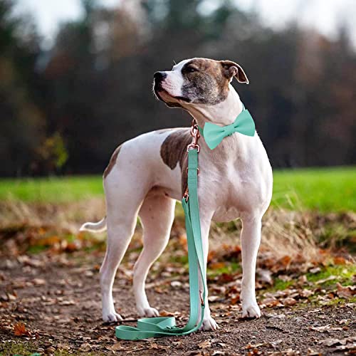 Soft Leather Bowtie Dog Collar - Adjustable Cute Bow Tie Collar [Easy to Clean] with Stylish Rose Gold Heavy Duty Metal Buckle for Small Medium Large Dogs Mint Green S - color: Mint Green, size: S(12.2"-16.9")