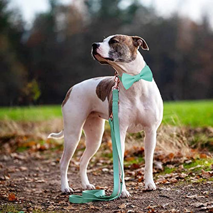 Soft Leather Bowtie Dog Collar - Adjustable Cute Bow Tie Collar [Easy to Clean] with Stylish Rose Gold Heavy Duty Metal Buckle for Small Medium Large Dogs Mint Green S - color: Mint Green, size: S(12.2"-16.9")