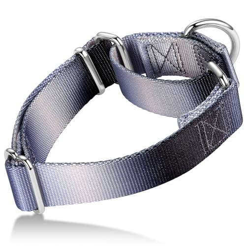 Martingale Dog Collar Colorful Gradient Fashionable - Anti-Escape Soft Durable Pets Collar for Walking Training Outdoor Daily Use -Medium, Blue Black - color: Silver grey to Black Gradient, size: Medium: 14" -21"