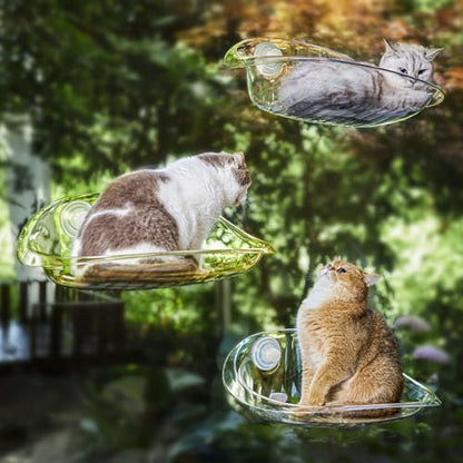 Cat Window Perch, Transparent Spacious Cat Hammock, Window Hammock with Strong Suction Cup, Heavy Load Bearing, Stable Structure and All Season Use for Indoor Cats and Large Cats