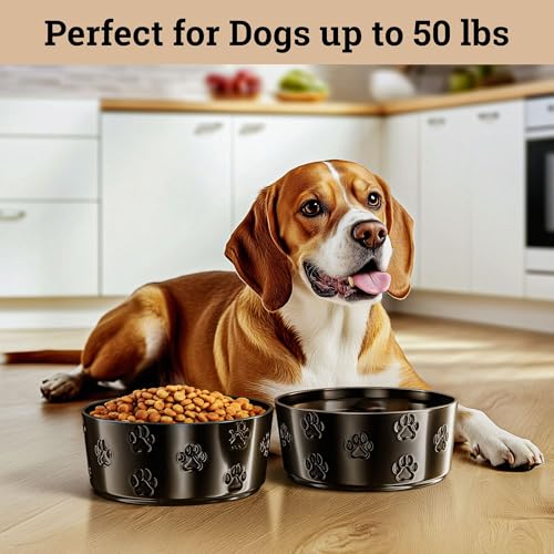 Ceramic Dog Bowl Set of 2 with Anti-Skid Base - 6.5" Wide x 2.5" Tall Ceramic Dog Bowls Medium Sized Dogs - 3.8 Cup Capacity Food and Water Bowls for Dogs - Rubber Bottom Pet Bowl Set of 2 Medium Size - color: Black, size: Medium