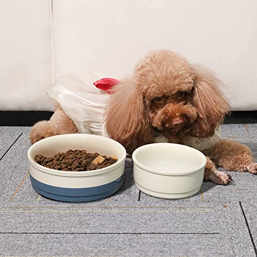 Sweejar Ceramic Dog Bowls, Dog Food Dish for Small Dogs and Cat, Heavy Duty Porcelain Pet Bowl for Canned Food and Water 17 Fl Oz（White） - color: White, style: Two-tone,5.5"x 2.2"(16 Fl Oz)