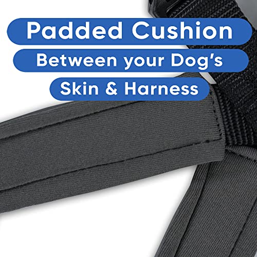 Pawtitas Reflective Padded Dog Harness for Small Dogs – Adjustable Puppy Step-in Vest | Fits Chest 18–22 in | No Pull Personalized Training Harness | S | Black - color: Black, size: Personalized Small (Pack of 1)