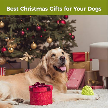 MewaJump Dog Squeaky Toys for Aggressive Chewers, Interactive Natural Rubber Chew Toy for Small Puppy Dogs, Tough Dog Toys for Medium Breed, Keep Dogs Busy, Training and Cleaning Teeth - color: Fruit-green