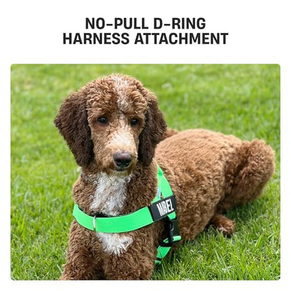 Dog Friendly Co. No-Pull D-Ring Harness Attachment | Front D-Ring Attachment for Greater Control, Prevents Pulling, Great for Training, Easily Attaches to Harness | Size XXS-XS - size: XXS-XS