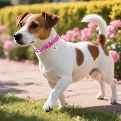 PUPTECK 2 PCS Soft Genuine Leather Cat Kitten Collar with Bells Adjustable for Girl Boy Cats Puppy, Rose Pink - color: Rose&Pink