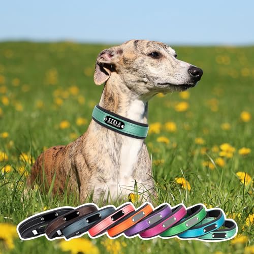 Personalized Customized Custom Dog Collars with Dog Name Phone Number, Adjustable Soft Neoprene Padded Reflective Nylon Collar for Boy Girl Puppies X-Small Small Medium Large Dogs