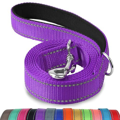 Joytale Dog Leash, 4 FT Double-Sided Reflective, Padded Handle Nylon Heavy Duty Leashes for Small Dogs Walking, Purple - color: Purple, size: 4 ft Narrow