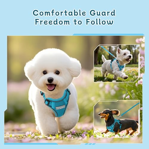 Small Dog Harness and Leash Set, Reflective Soft Breathable Mesh Vest, 3 Buckles, Adjustable Neck and Chest,Step in Dog Harness for Walking, Running, Training, Turquoise, S - color: Turquoise, size: Small