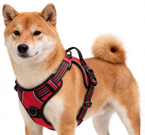 Red No-Pull Dog Harness with 2 Leash Clips，Soft Padded Vest for Medium Dog, Adjustable Reflective Dog Vest Easy to Put on and Take Off, (Neck: 14"~20", Chest: 21"~27", Red M) - color: Red, size: Medium