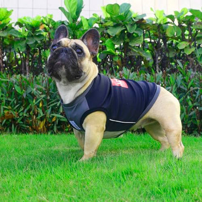 iChoue French Bulldog Summer Cooling Shirt for Dogs UV Sun Protection Vest Sleeveless Stretchy Tank Top English Pug Grey Black - Medium - color: Cooling Shirts Grey Black, size: Medium ( 15 - 25 lbs )
