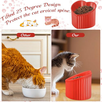 Mumufy 2 Pcs Ceramic Elevated Cat Bowls Tilted Elevated Raised Pet Bowls Anti Vomit Cat Dish for Indoor Stress Free Water Dish Feeder for Puppies, Heart Shaped (Red, Green) - color: Red, Green
