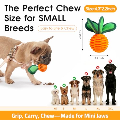 2 Pack Dog Chew Toys for Small Breeds, 2.2" Treat Dispensing Ball, Small Dog Toy Ball with Squeaker for Anxiety & Boredom, Interactive Puppy Chew Toy for Fetch, Tug & Dental Care