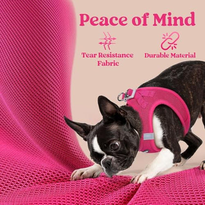 rabbitgoo Small Dog Harness, Step-in Soft Mesh Puppy Vest with Safety Buckle, Breathable Reflective Pet Harness for Small Sized Dogs, Rose Red S - color: Rose Red, size: S(chest:15.1"-16.5")