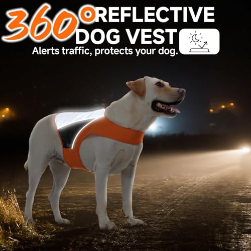 Reflective Dog Vest for Large Dogs, Orange High Visibility Safety Pet Vest for Hunting, Walking at Night - size: XL