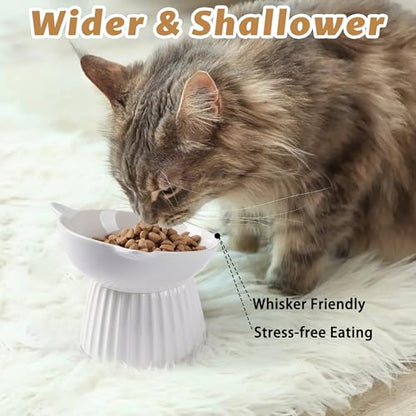 Ceramic Raised Cat Bowl，Tilted Raised Bowl Anti Vomit for Indoor Cats Whisker Friendly Pet Feeder for Cats Puppies, Microwave and Dishwasher Safe (White-2 Pack) - color: White-2 Pack