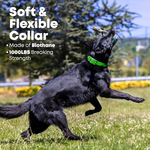 Regal Dog Products Small Light Green Waterproof Dog Collars with Custom Engraved Name Plate | Vinyl Coated, Easy to Clean Personalized Biothane Dog Collar - Other Sizes for Medium & Large Dogs - color: Light Green, size: Small Collar