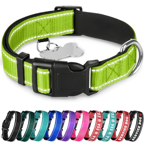 TECEUM Reflective Dog Collar – Acid Green – M – Extra Soft Padding – Basic Nylon Pet Collar – Quick Release Buckle – Fits Small, Medium and Large Dogs, Puppies, Cats – ESA & Service Dog Options - color: Acid Green, size: Medium
