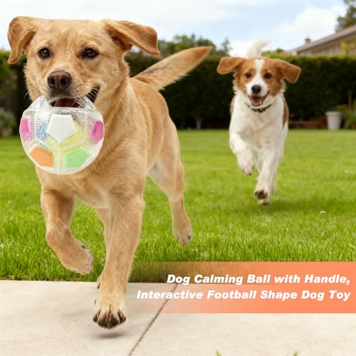 The Mellow Dog Calming Ball with Handle, Strong and Durable Interactive Football Shape Balls, Dogs Football Toy for Water Play,Training & Outdoor Games (With Squeaky Tennis Ball Inside) (White)