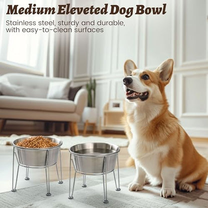 Elevated Dog Bowls for Medium&Small Dogs - Stainless Steel 48oz/6 Cups Raised Feeder with Non-Slip Base, Dual Food & Water Bowls 2-Pack - color: Raised Bowl, size: 6 Cups