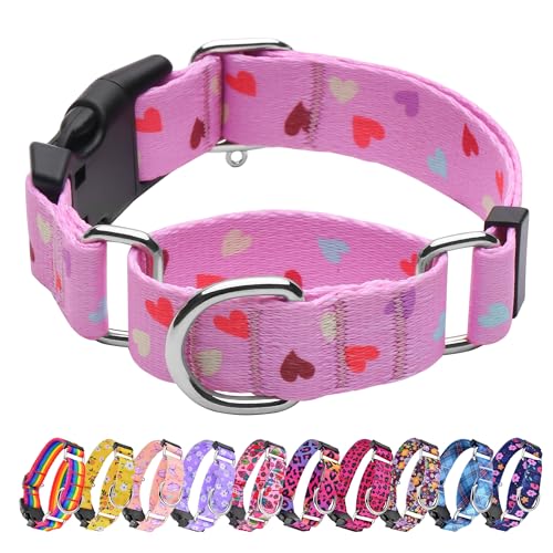 Hikiko Cute Pink Martingale Collar with Heart Design Soft Nylon Quick Release Buckle Dog Collars for Small Dogs (Fresh Love,Small) - color: Fresh Love, size: Small