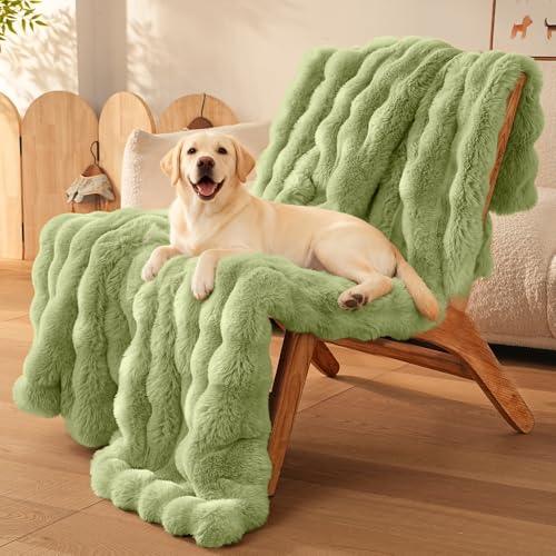 Dog Blanket, Reversible Sherpa & Bubble Fleece Pet Throw, Ultra-Soft Plush for Medium Dogs, Machine Washable, Anti-Static, Warm & Cozy, 39"×31" Inch Green - color: Green, size: 39"L x 31"W Inches