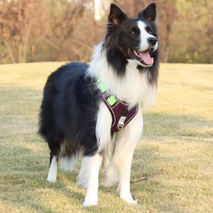 FEESHOW No Pull Escape Proof Dog Harness with Soft Padded Handle Breathable Reflective Vest for Medium Large Dogs Walking Purple X-Large - color: Purple, size: X-Large