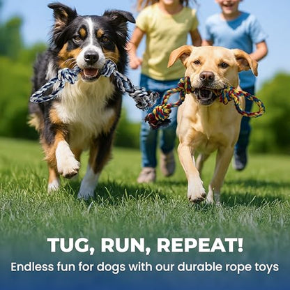 Pup Quartet Dog Rope Toy for Aggressive Chewers 2-Pack Tug of War Dog Toy with Thick Knots Heavy Duty Rop Toys for Dogs – Indestructible Rope Chew Toys for Medium & Large Dogs - color: blue/white and yellow/blue/red