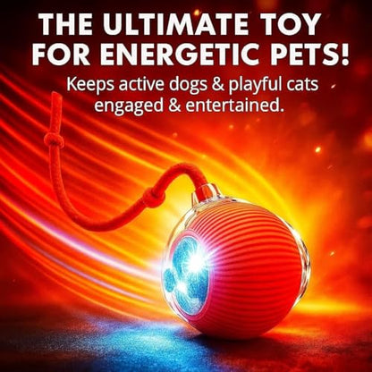 Interactive Electric Automatic Rolling Moving Rechargeable Self Play Stimulation Toy,Smart Pet Chase with Speedy Tail Rope for Bored Indoor Cats (Purple) - color: PURPLE