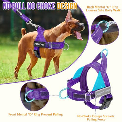 Lukovee No Pull Dog Harness and Leash Set - Heavy Duty Dog Vest with Soft Velvet Padding for Medium Large Dogs, Adjustable Reflective Tactical Harness with 2 Control Handles & Front Clip (S, PU) - color: Purple, size: Small