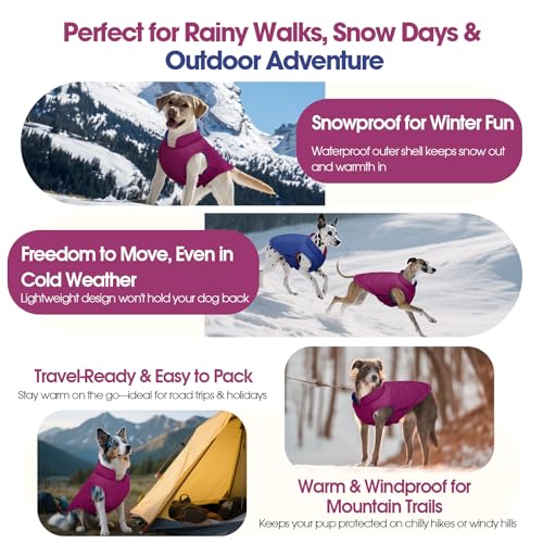 QBLEEV Reversible Dog Jacket for Large Dogs, Waterproof Windproof Winter Coat with Adjustable Hook & Loop Design, Lightweight Puffer Vest Keeps Dogs Warm & Dry, Purple, XL – Fits Pitbull, Boxer - color: Violet-Blue, size: X-Large
