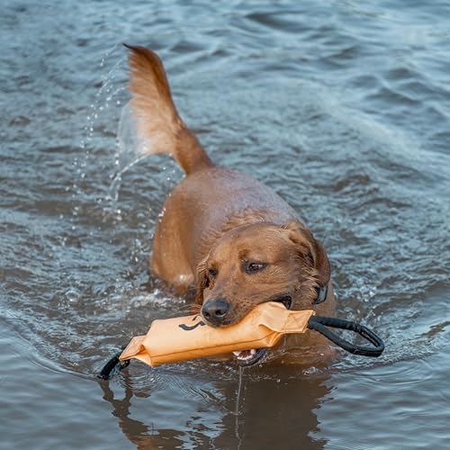 Browning Pet Training Tools, Durable Dog Toys for Tug and Fetch, Canvas Bumper (Browning Gold), One Size - color: Canvas Bumper (Browning Gold)