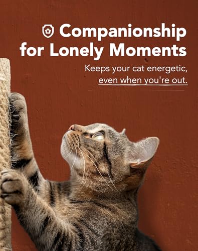 Lukamoo® Cat Scratching Pad, Wall Mounted Scratcher for Indoor Cats (Medium (24'' x 16'')) (Calico) - color: Calico