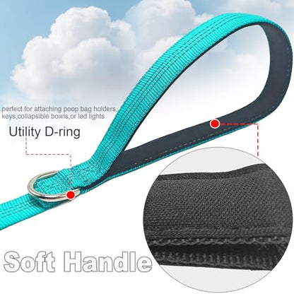 Bungee Dog Leash- 5FT Shock Absorbing & Reflective Nylon Leash | Anti-Pull Training for Small/Medium Dogs | 2cm Wide, 6 Colors (Turquoise) - color: Turquoise