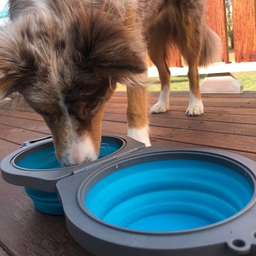 Loving Pets 73807992: Travel Double Diner Dog Bowl, Blue Md - color: Blue, size: Medium Travel Double Diner