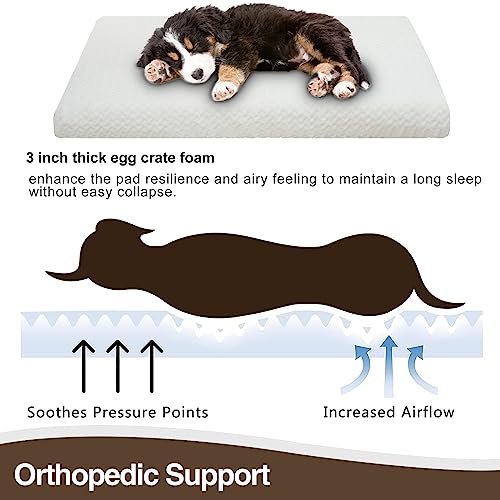 EMPSIGN Dog Crate Pad - Reversible Kennel Bed, Machine Washable, Soft White Plush Sleeping Bed for Small Medium Large Dogs, All-Season Pet Bed, 47"x 29"x 3"