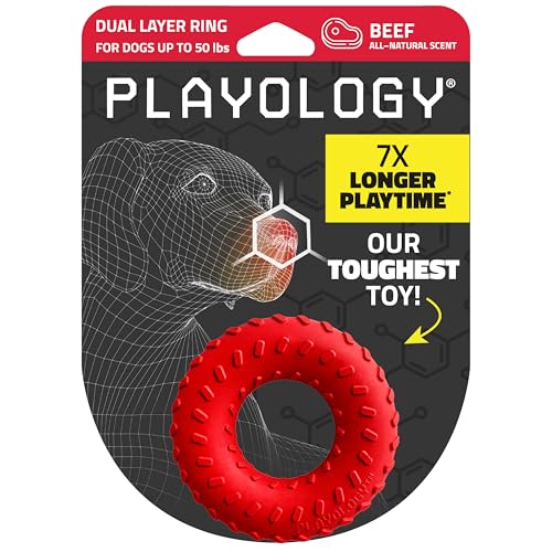 Playology Dog Toys | Dual Layer Ring Durable Dog Toy for Tough Chewers | Beef Scented Medium Chew Toy for Dogs - size: Medium, style: Beef