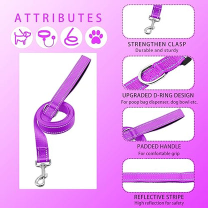 Reflective Dog Collar with Safety Locking Buckle, Adjustable Soft Breathable Nylon Collars for Small, Medium and Large Dogs(Collar+Leash XS Width 3/8" Rosered) - color: Rosered, size: XX-Small (Width 3/8")
