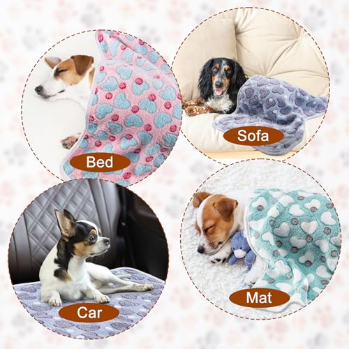 1 Pack 3 Blankets Super Soft Fluffy Premium Fleece Pet Blanket Flannel Paw Printed Throw for Dog Puppy Cat (Small 23x16'', Purple, Pink, Green) - color: Purple, Pink, Green, size: 23x16 inch(Pack of 3)