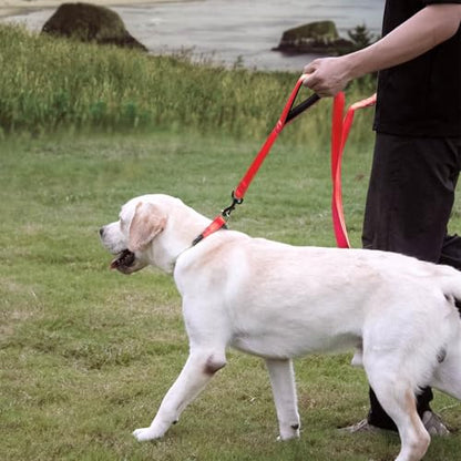 Wagtime Club Double Handle Dog Leash, 6ft Long Heavy Duty Dog Leash with Paded Traffic Handles for Extral Control and Training, Dual Handles Leads, Large Medium Small Dogs (Reflective Carnation Red) - color: Reflective Carnation Red